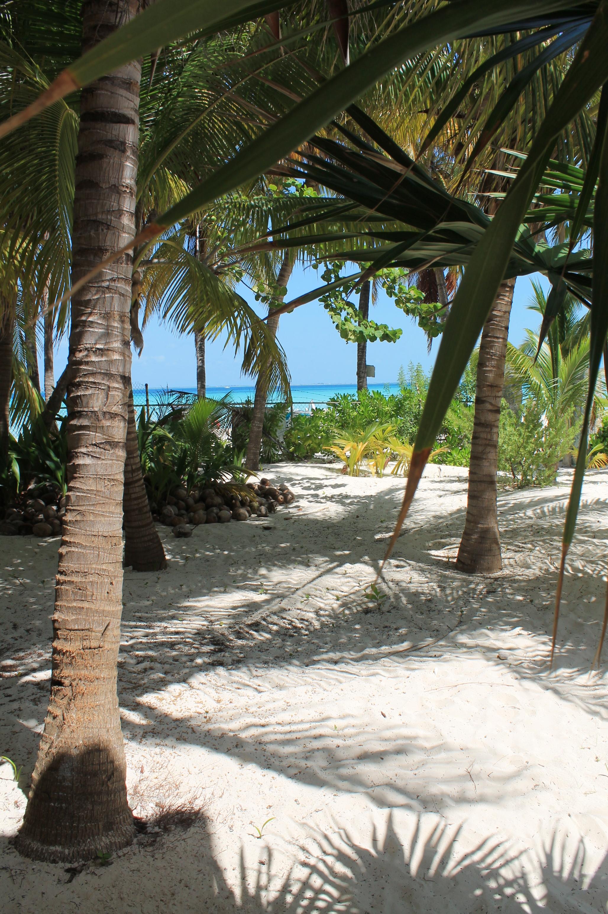 Cabanas Maria Del Mar Isla Mujeres Zewnętrze zdjęcie